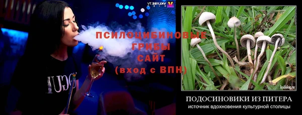 мдпв Кукмор