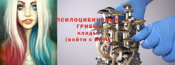 трава Краснотурьинск